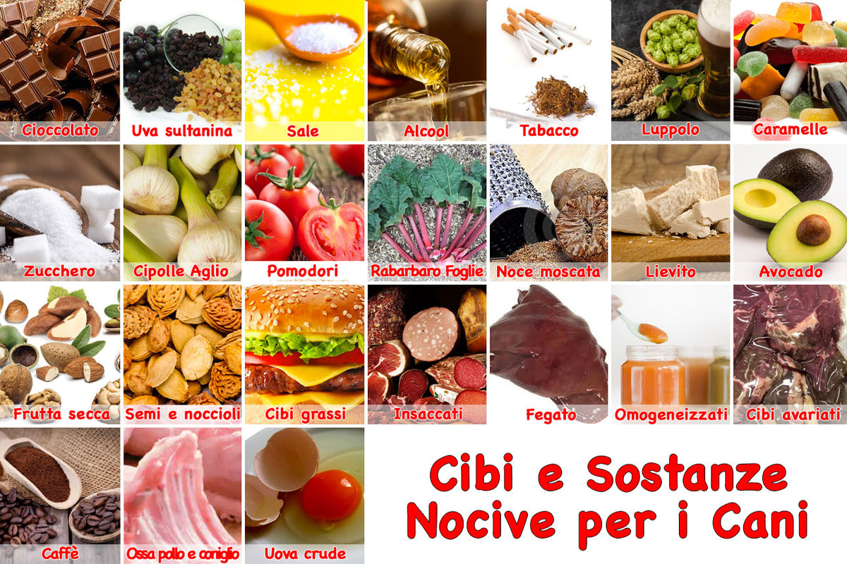 cibi tossici per i cani